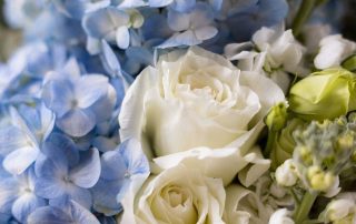 Kloeckner Flowers offers Winter Flower arrangements