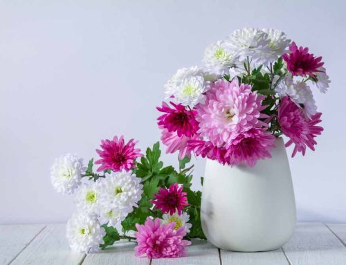 Mother’s Day Flowers are Perfect for Showing How Much you Care
