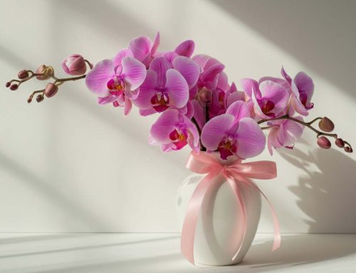 Surprise Mom with a Beautiful Mother’s Day Plant