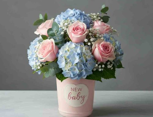 New Baby Flowers – Hospital Delivery