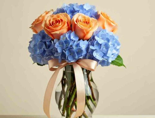 Summer Flowers Offer Color and Life to any Space